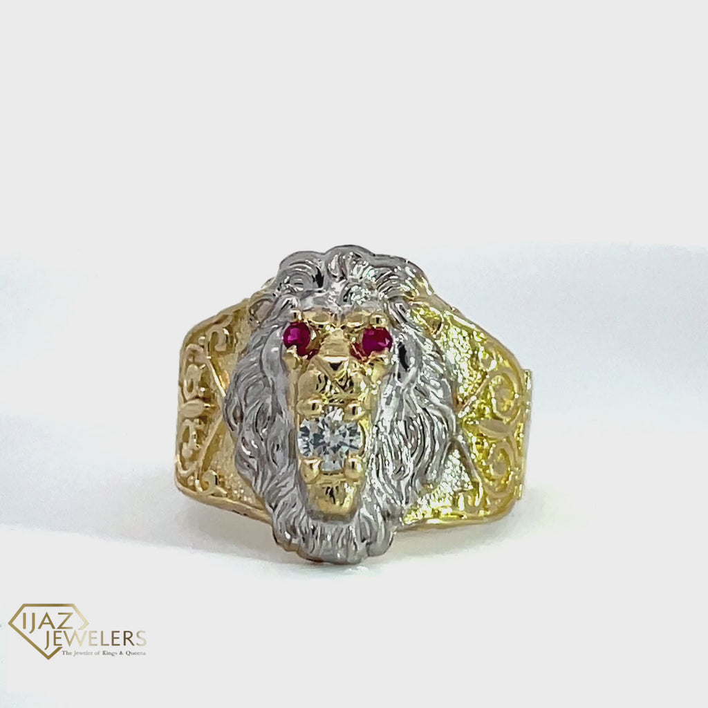 lion ring__2023-05-02-12-08-42.mp4